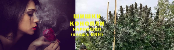 ешки Осинники