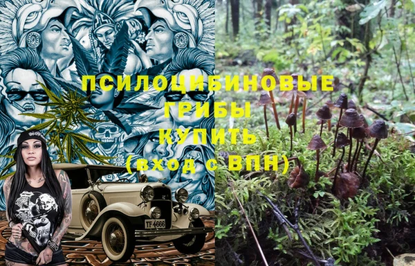 ешки Осинники