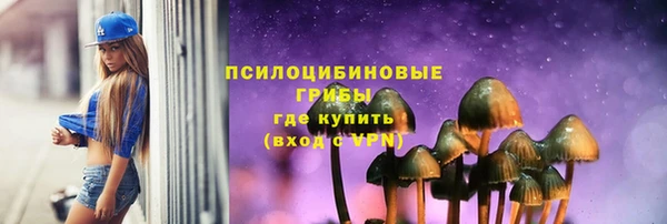 прущий лед Осташков