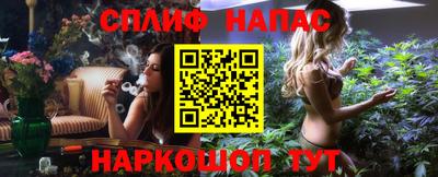 гашик Гусев