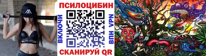 Галлюциногенные грибы мицелий  где купить наркотик  мориарти наркотические препараты  Новокузнецк 