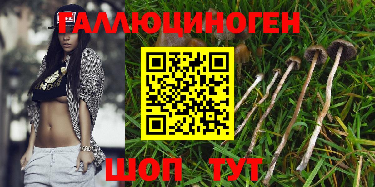 Галлюциногенные грибы ЛСД Россия