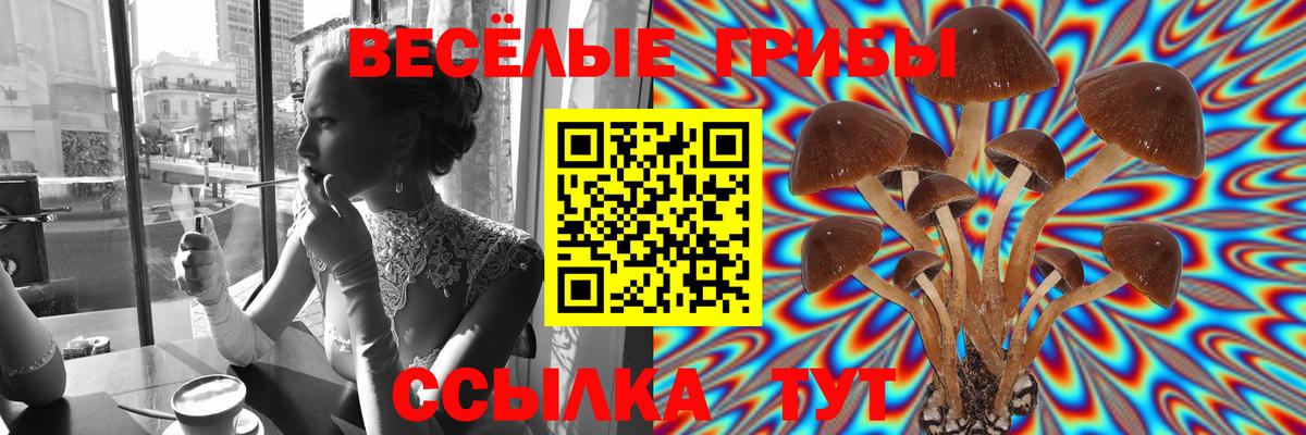Псилоцибиновые грибы прущие грибы Россия