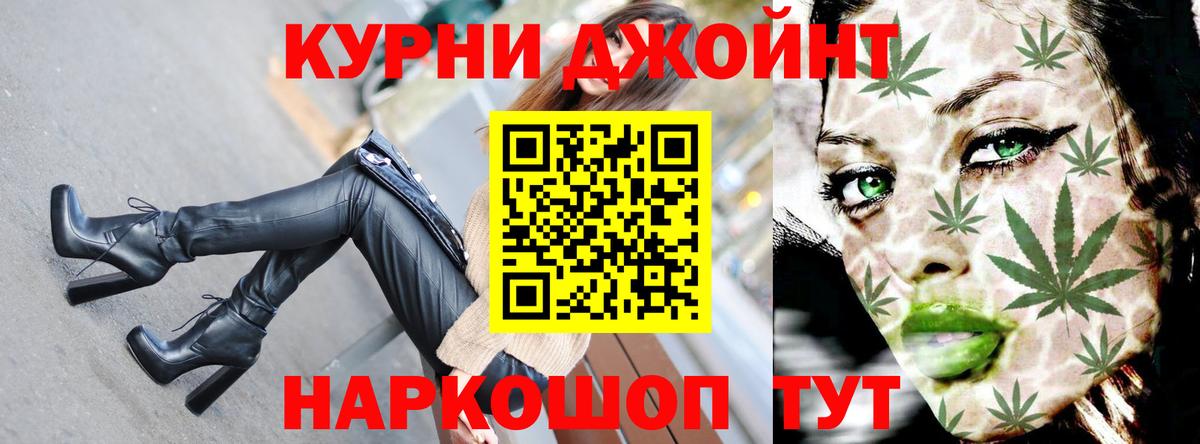 Конопля план  Бошки марихуана Ganja  Каннабис OG Kush  Россия 